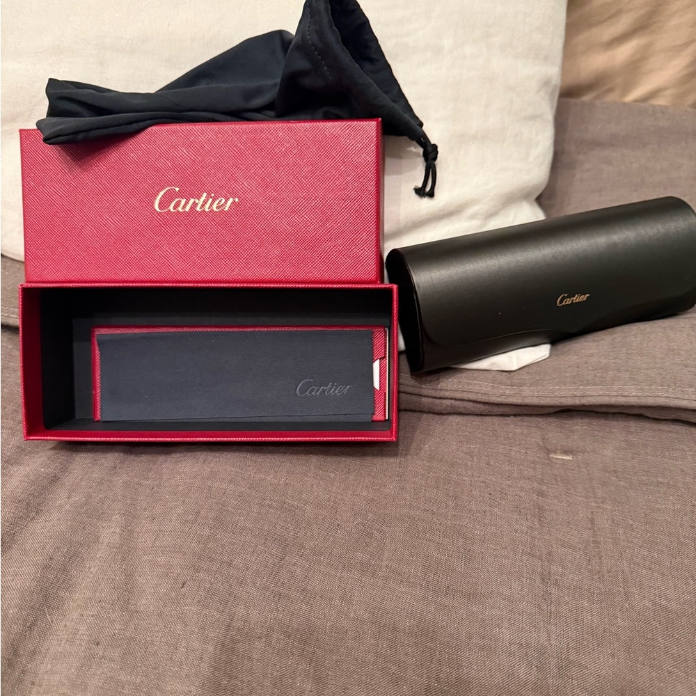 Cartier Santos Evolution 60MM Sunglasses - Picture 6 of 9